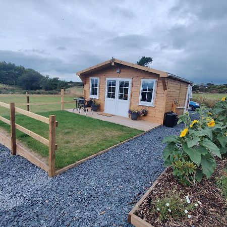 Bumble Bee Cabin Bootle  Zewnętrze zdjęcie